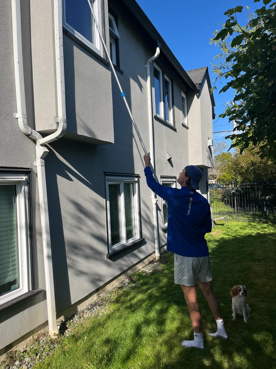 Window washing in action